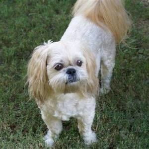 Meet your Posher, Kaydra